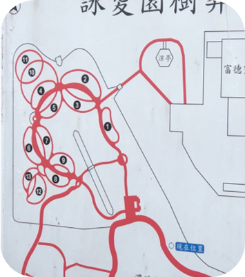 樹葬
